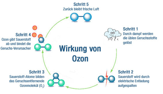 Wirkungsweise des Ozon